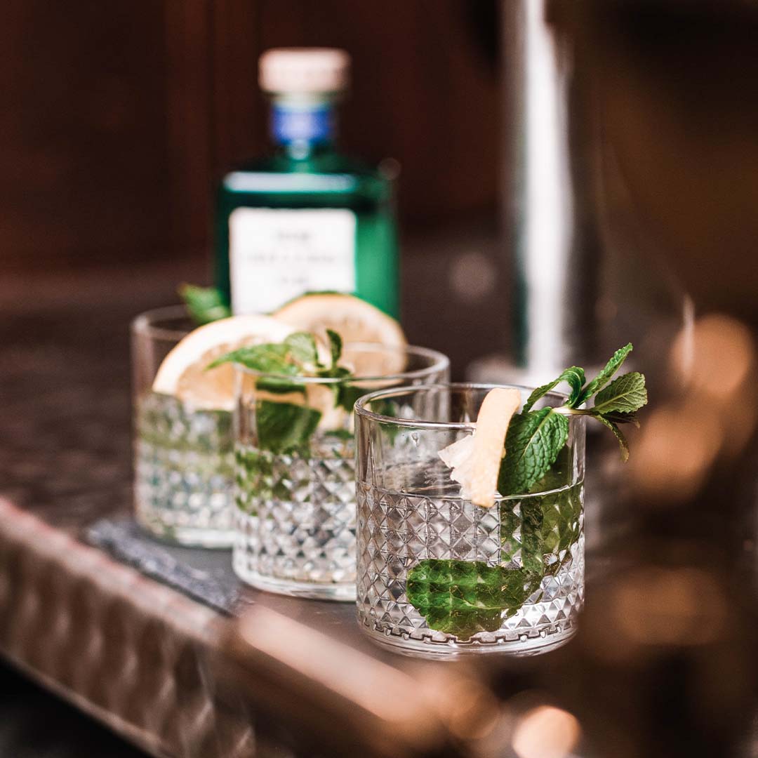 VON HALLERS GIN Forest 0,5l VON HALLERS GIN Forest 0,5l