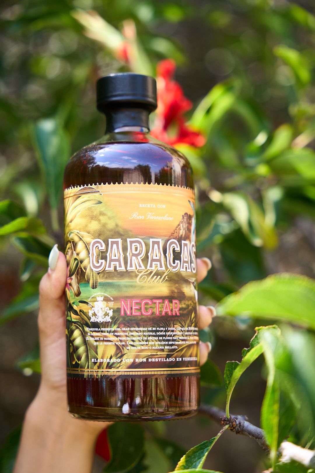 CARACAS CLUB Nectar 0,7l CARACAS CLUB Nectar 0,7l